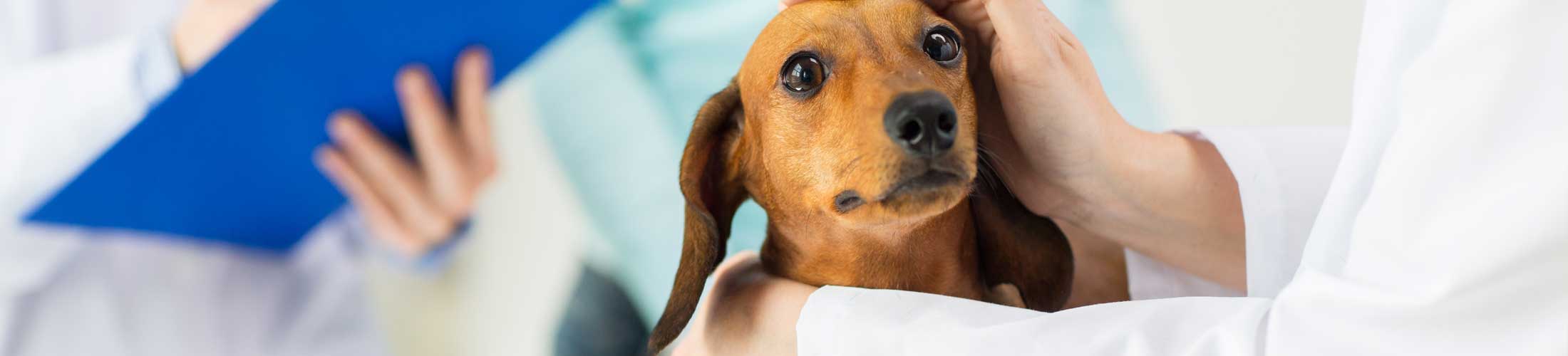 Does your disinfectant suffer from Safety Indifference Syndrome?