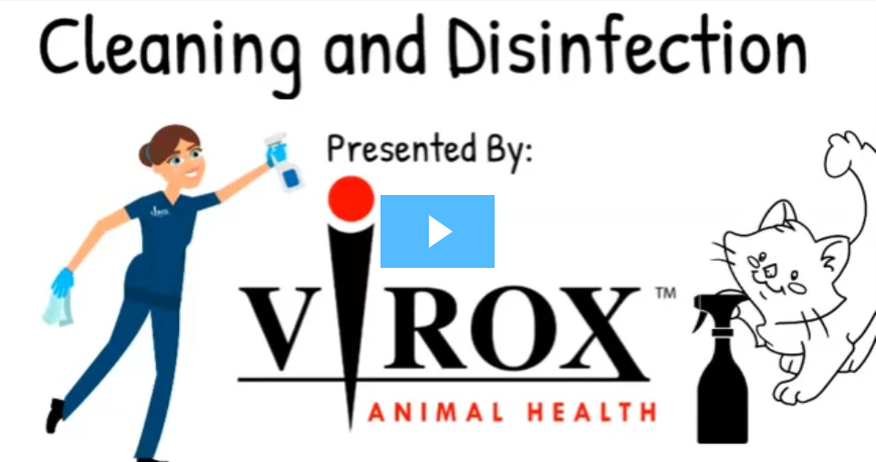 COVID-19 - Virox Animal Health COVID-19 - Virox Animal Health