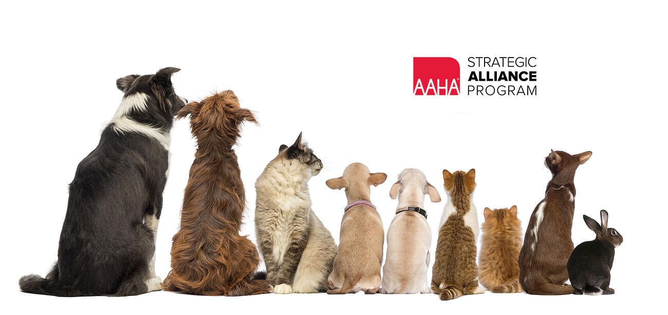 Aaha American Animal Hospital Association - Alliance