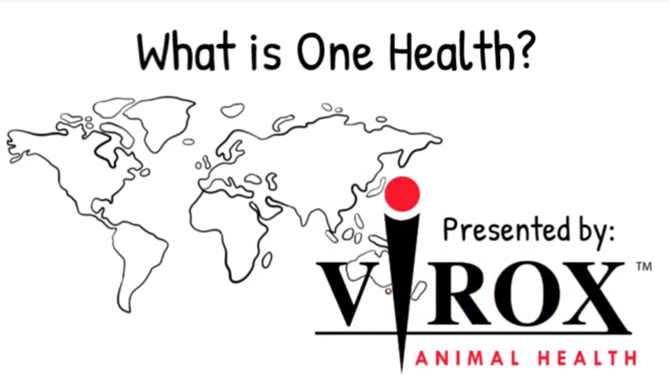 COVID-19 - Virox Animal Health COVID-19 - Virox Animal Health