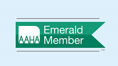 Alliances-logo-AAHA.png