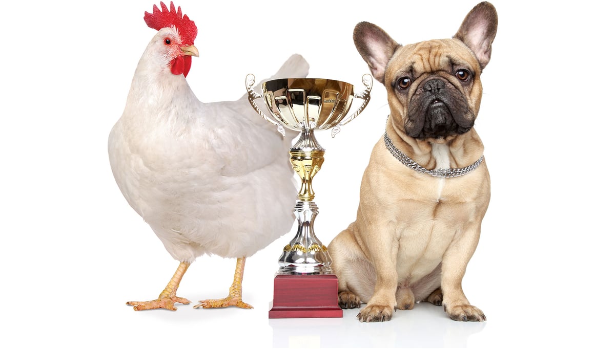 Header-Awards-Certs