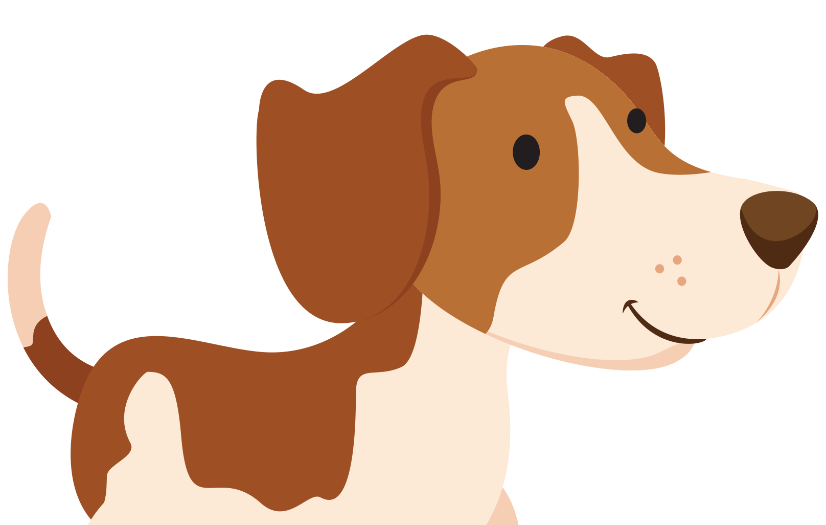 Comp-MeetSpotVideo-Dog