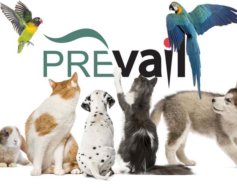 Mobile-header-PrevailFamily