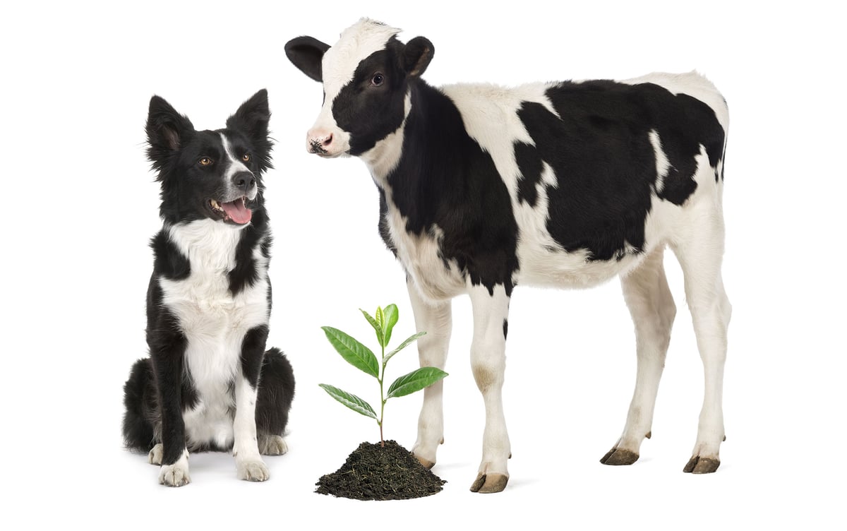 Header-Environmental-Responsibility
