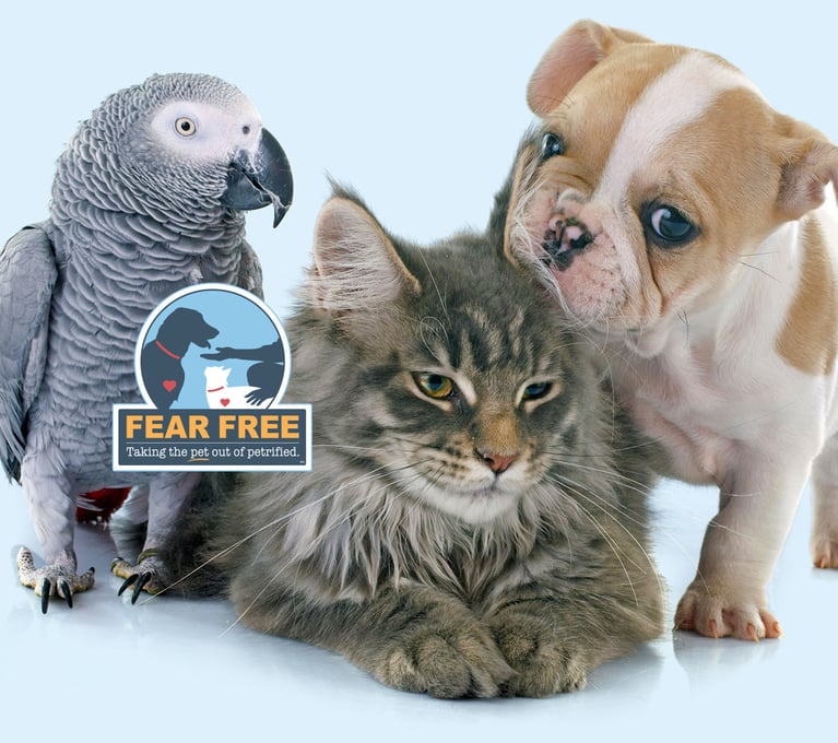 Virox Animal Health | Veterinary & Farm Disinfectants Virox Animal Health | Veterinary & Farm Disinfectants
