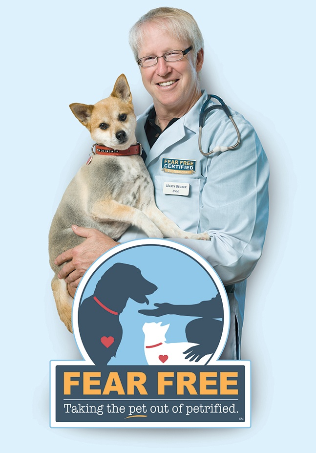 Mobile-FearFree-Opt2