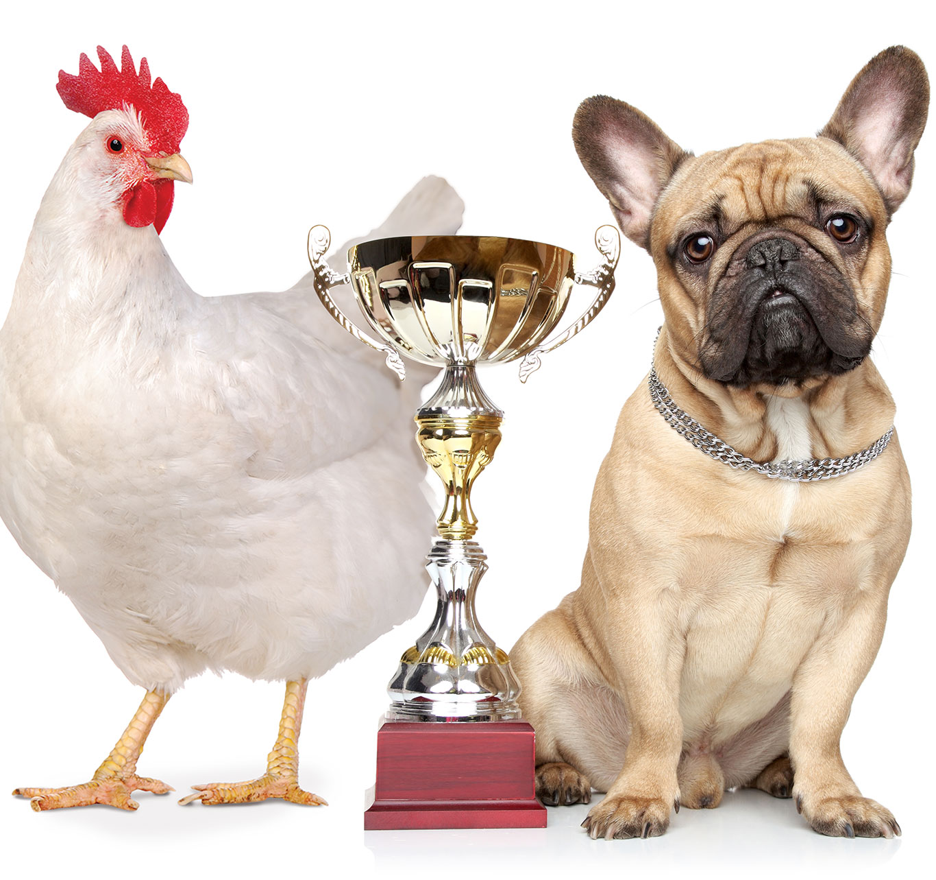 Mobile-Header-Awards-Certs