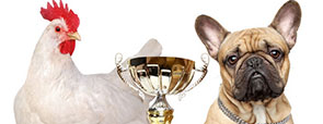 Award